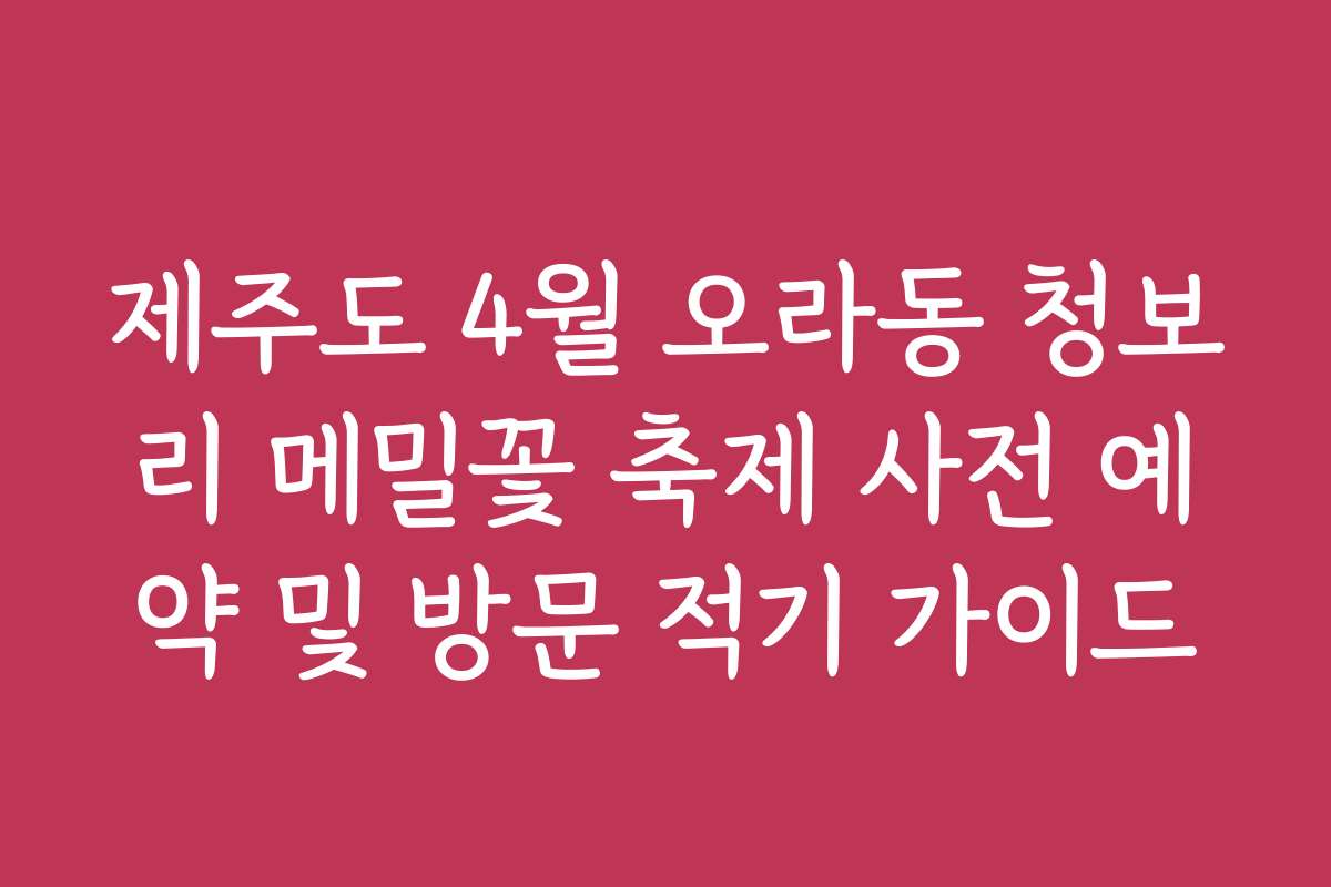 제주도 4월 오라동 청보리 메밀꽃 축제 사전 예약 및 방문 적기 가이드