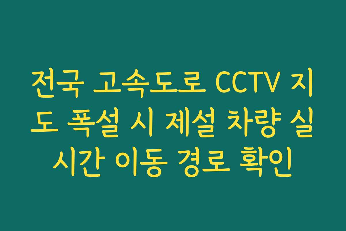 전국 고속도로 CCTV 지도 폭설 시 제설 차량 실시간 이동 경로 확인