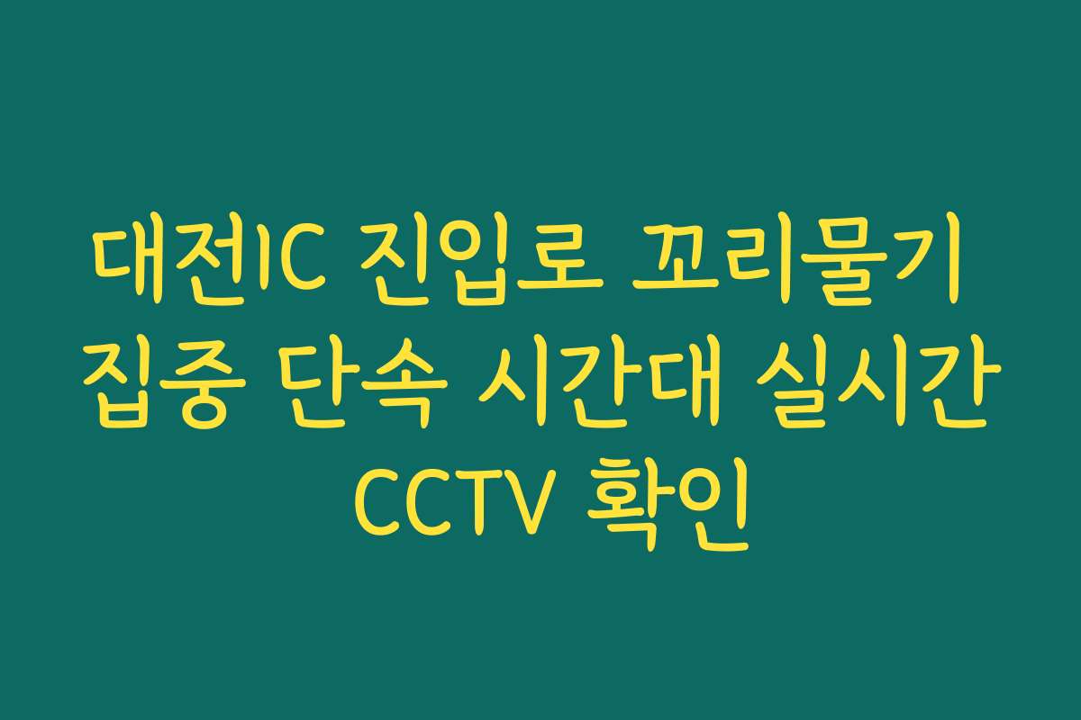 대전IC 진입로 꼬리물기 집중 단속 시간대 실시간 CCTV 확인