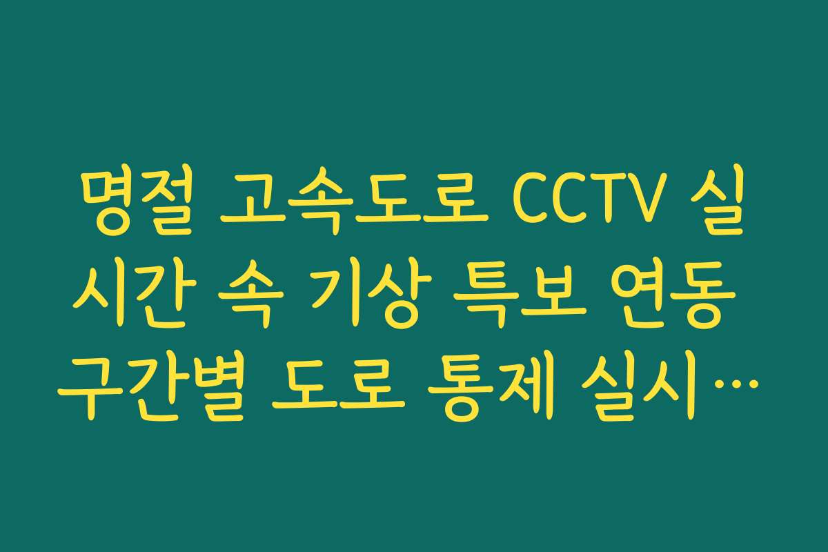 명절 고속도로 CCTV 실시간 속 기상 특보 연동 구간별 도로 통제 실시간 CCTV 확인