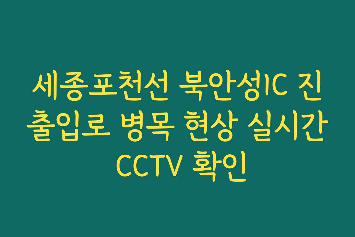 세종포천선 북안성IC 진출입로 병목 현상 실시간 CCTV 확인