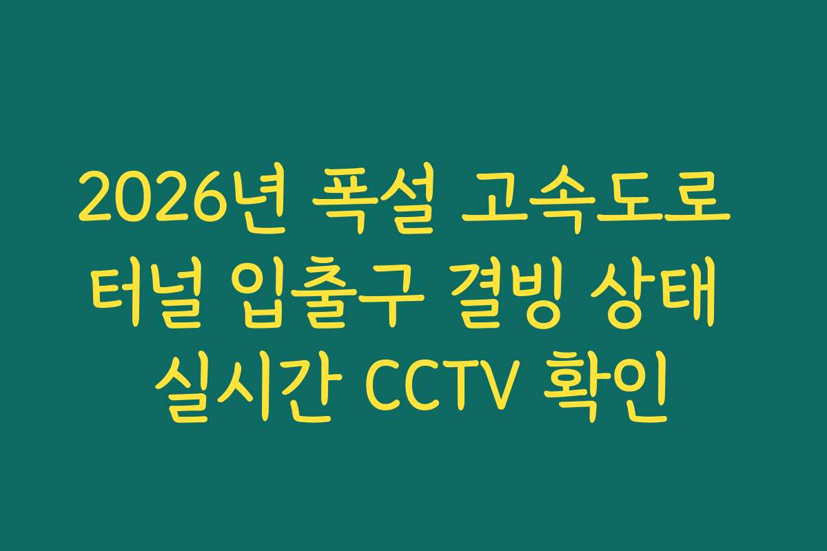 2026년 폭설 고속도로 터널 입출구 결빙 상태 실시간 CCTV 확인