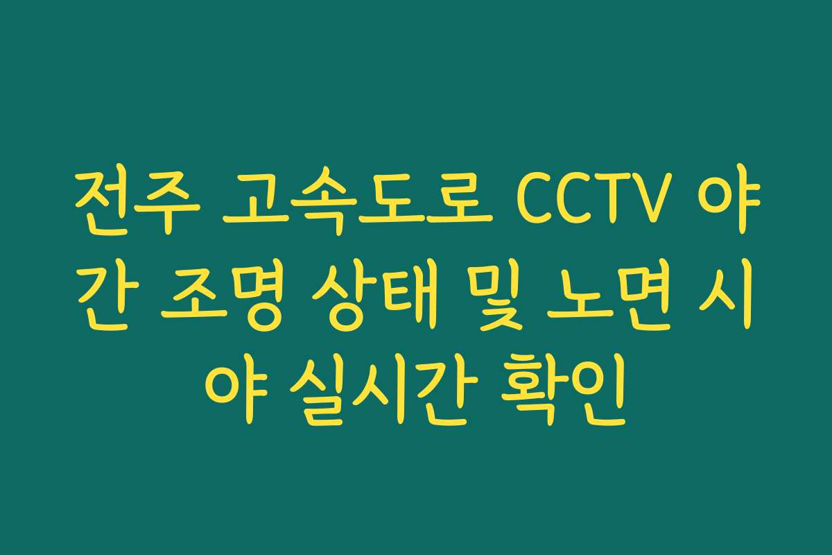 전주 고속도로 CCTV 야간 조명 상태 및 노면 시야 실시간 확인