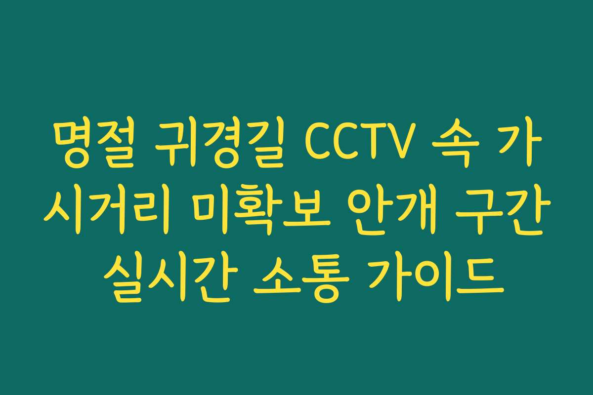 명절 귀경길 CCTV 속 가시거리 미확보 안개 구간 실시간 소통 가이드