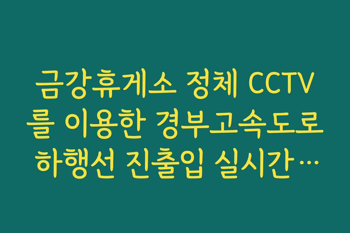 금강휴게소 정체 CCTV를 이용한 경부고속도로 하행선 진출입 실시간 확인