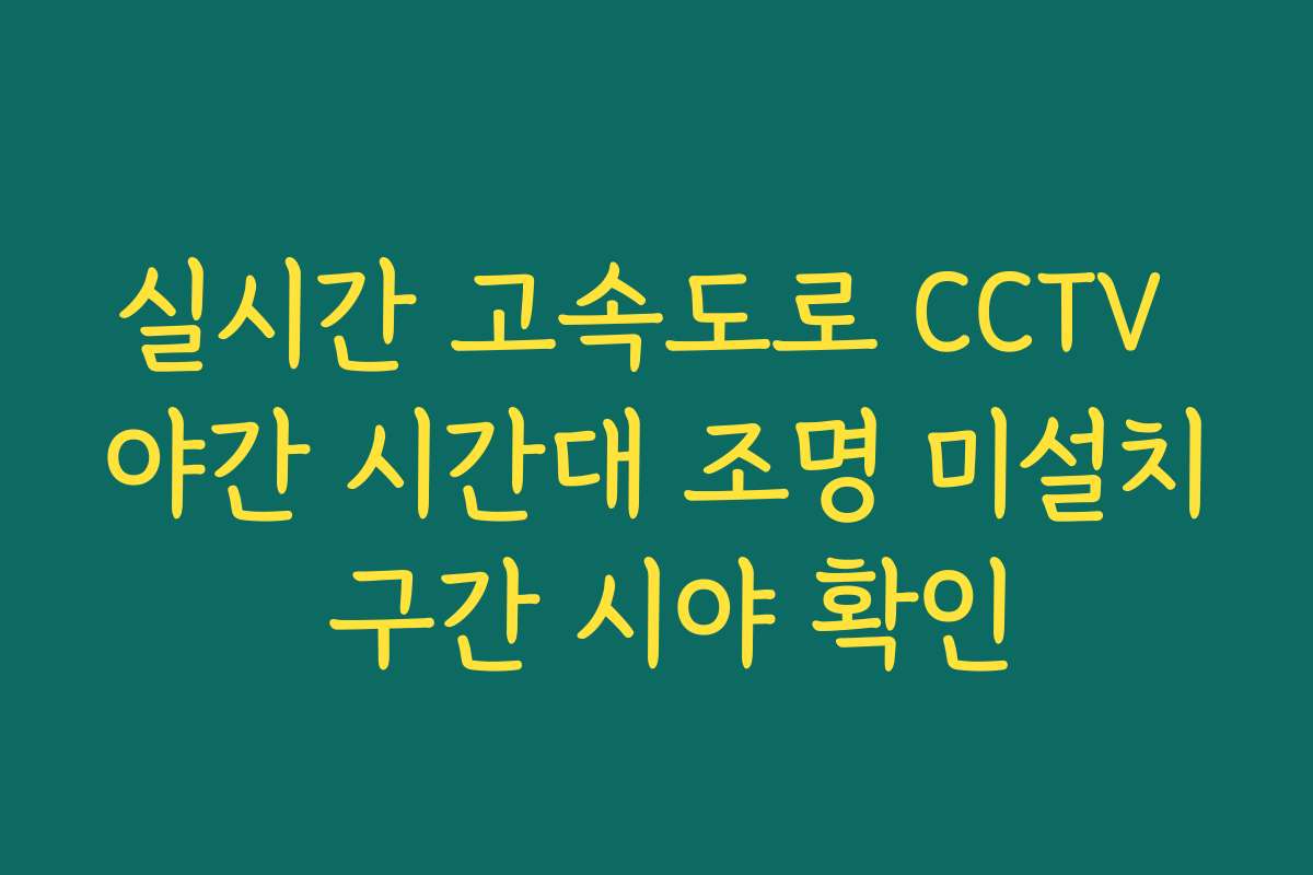 실시간 고속도로 CCTV 야간 시간대 조명 미설치 구간 시야 확인