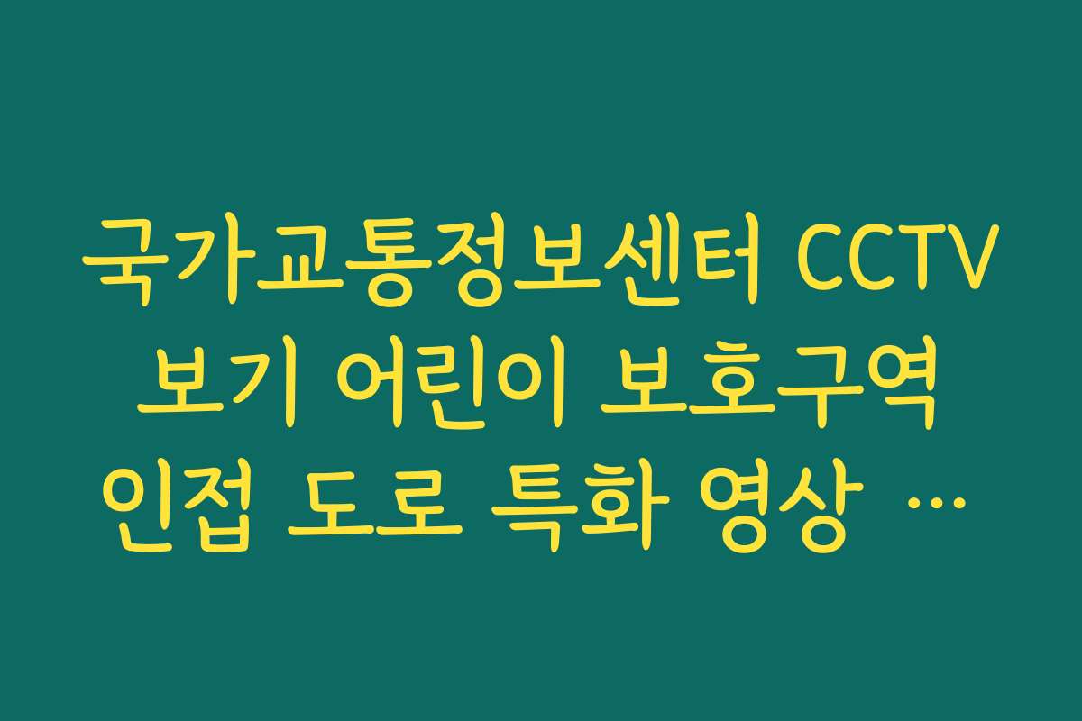 국가교통정보센터 CCTV 보기 어린이 보호구역 인접 도로 특화 영상 조회법