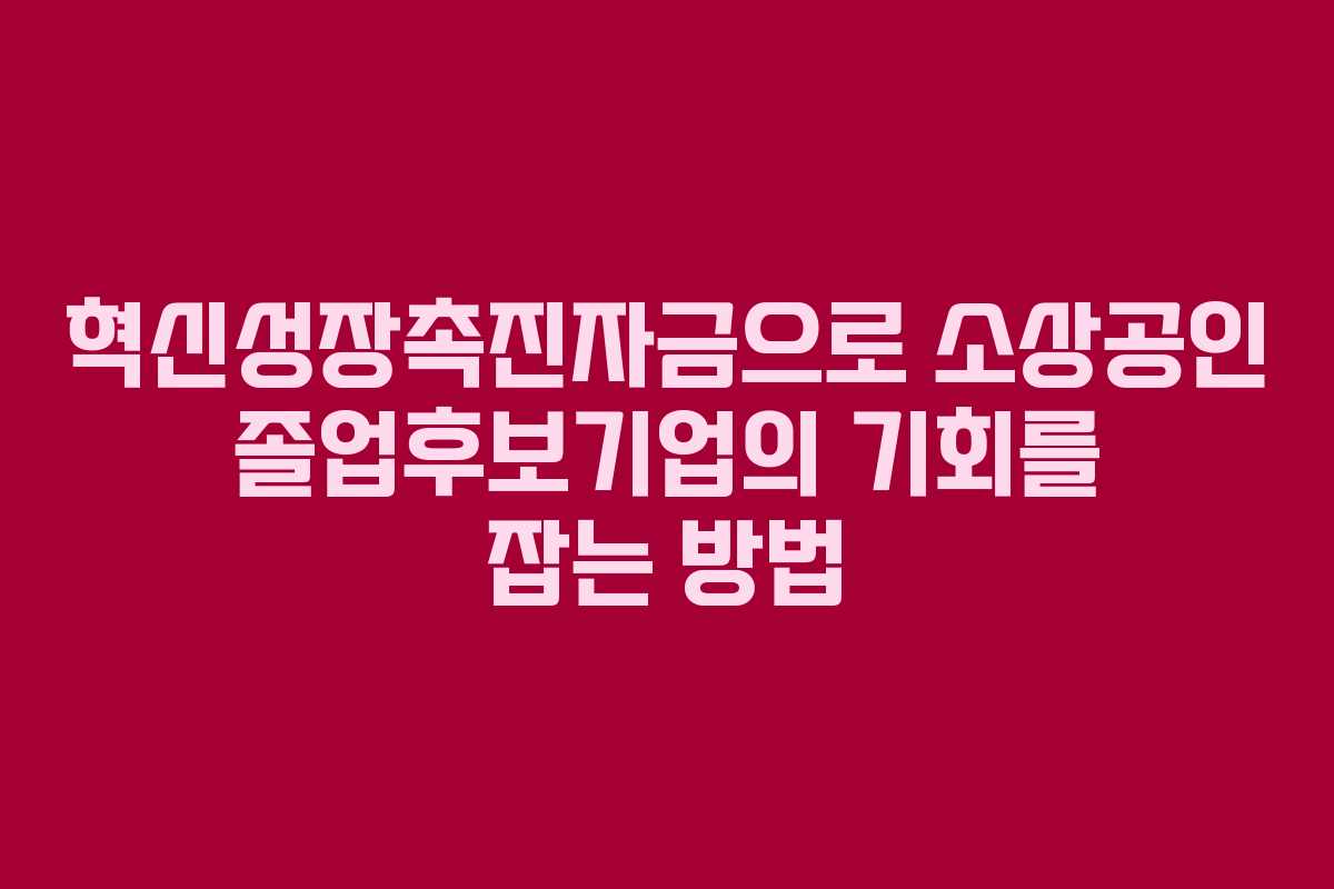 혁신성장촉진자금으로 소상공인 졸업후보기업의 기회를 잡는 방법