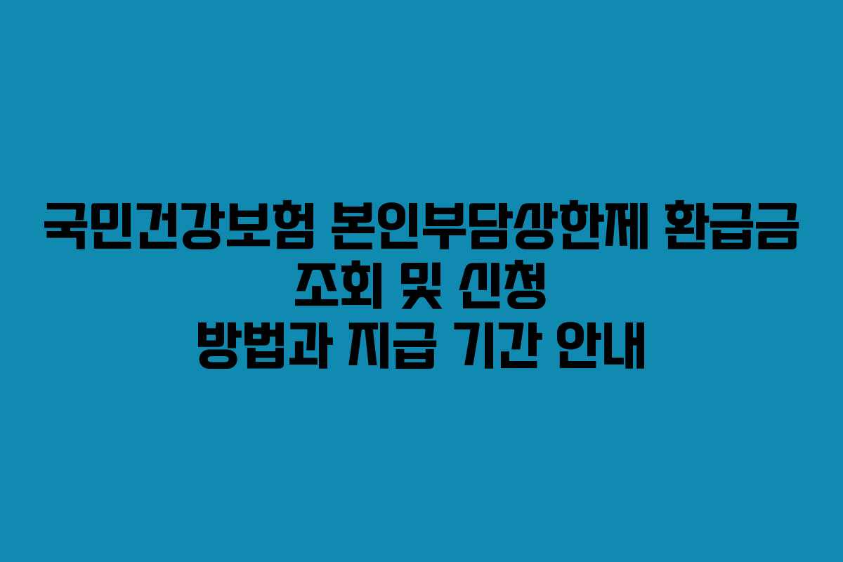 국민건강보험 본인부담상한제 환급금 조회 및 신청 방법과 지급 기간 안내