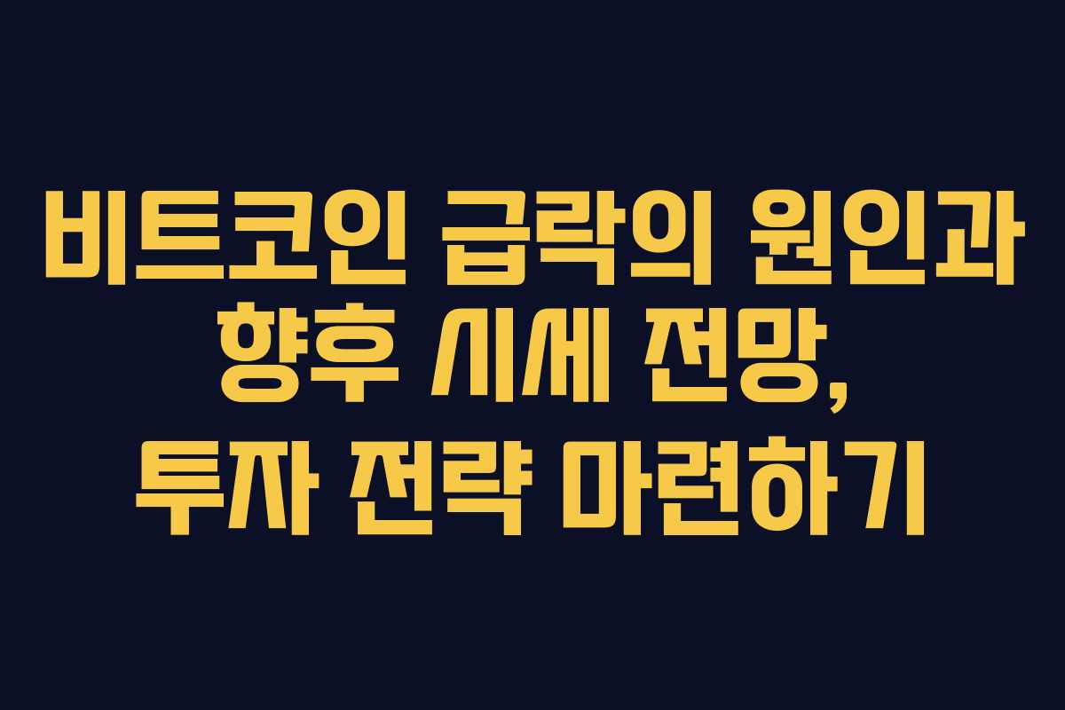 비트코인 급락의 원인과 향후 시세 전망, 투자 전략 마련하기