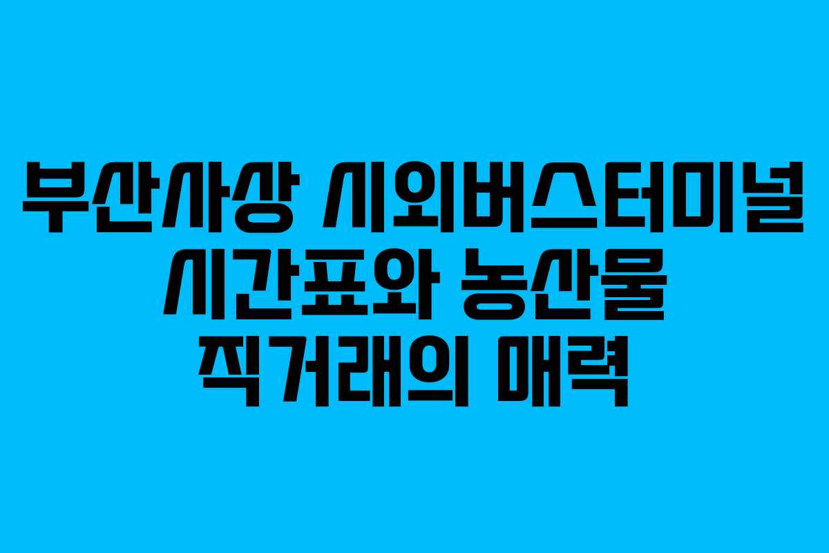 부산사상 시외버스터미널 시간표와 농산물 직거래의 매력