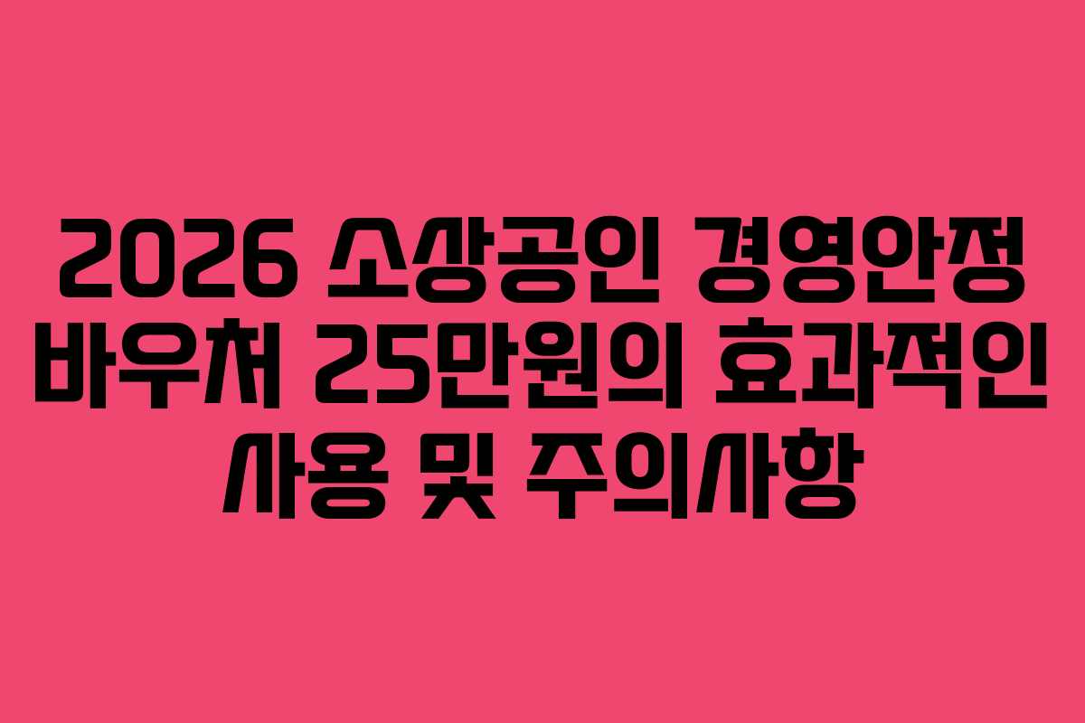 2026 소상공인 경영안정 바우처 25만원의 효과적인 사용 및 주의사항