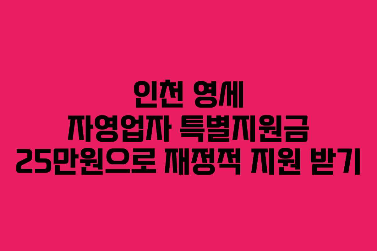 인천 영세 자영업자 특별지원금 25만원으로 재정적 지원 받기