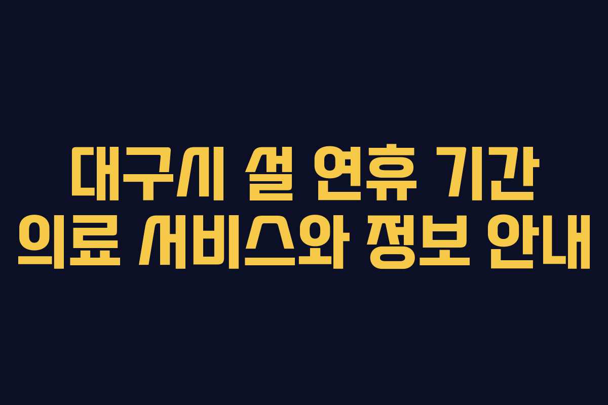 대구시 설 연휴 기간 의료 서비스와 정보 안내