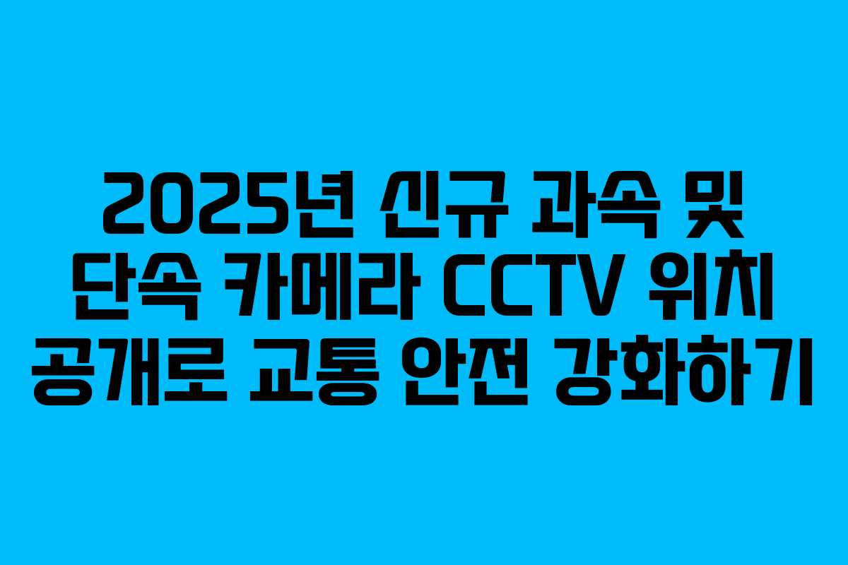 2025년 신규 과속 및 단속 카메라 CCTV 위치 공개로 교통 안전 강화하기