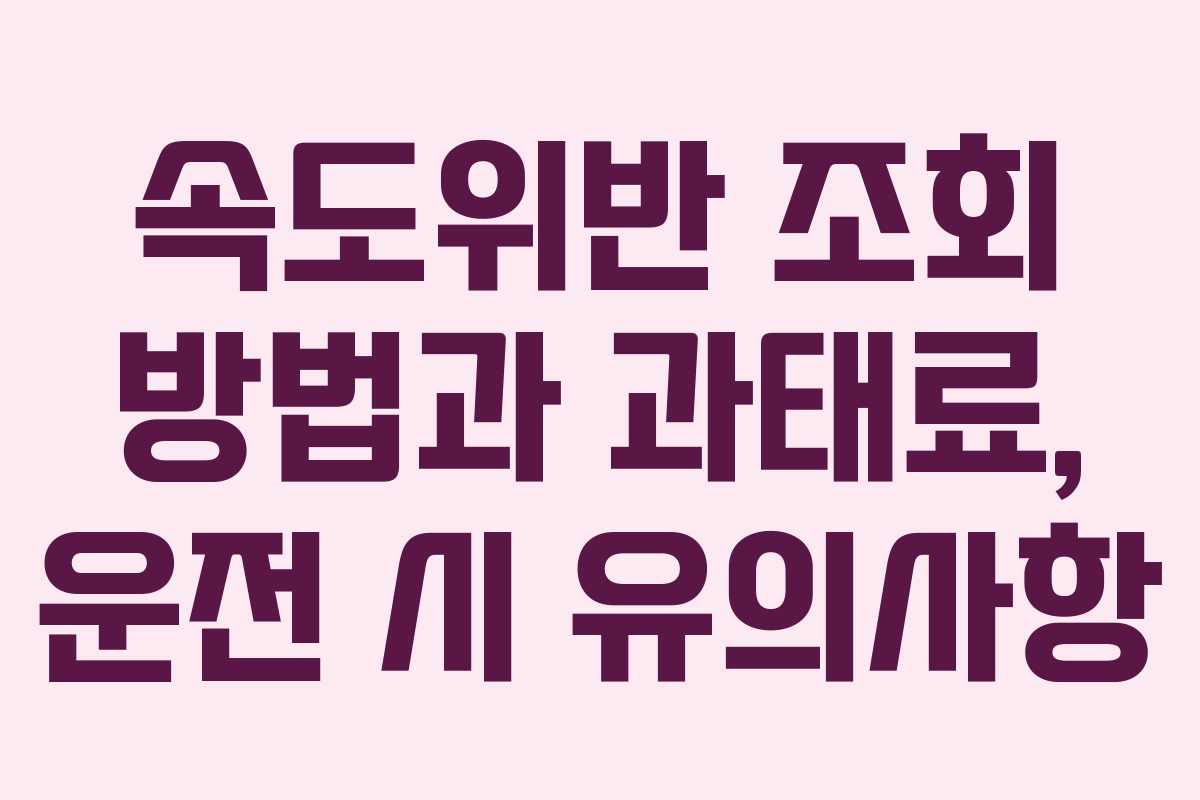 속도위반 조회 방법과 과태료, 운전 시 유의사항