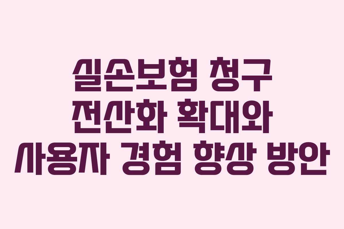 실손보험 청구 전산화 확대와 사용자 경험 향상 방안