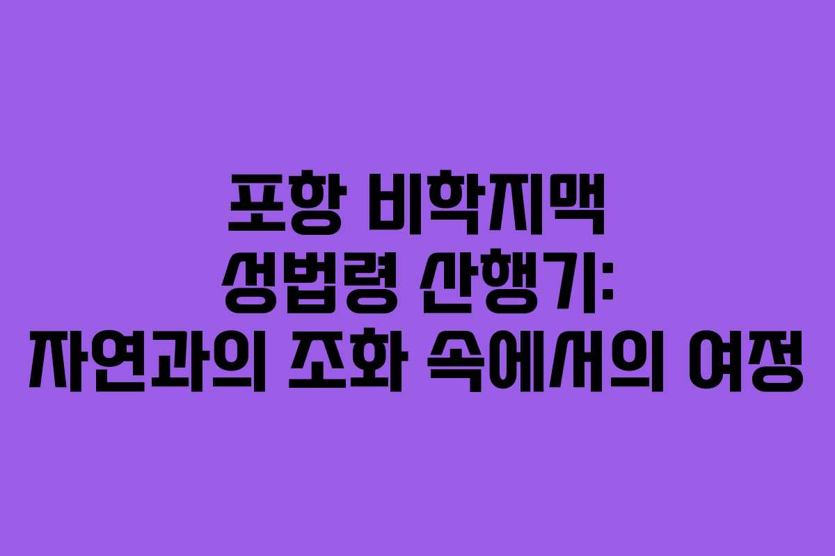 포항 비학지맥 성법령 산행기: 자연과의 조화 속에서의 여정