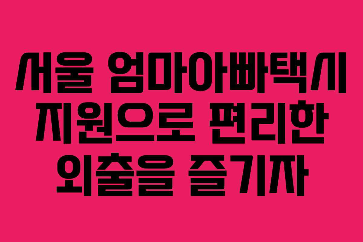 서울 엄마아빠택시 지원으로 편리한 외출을 즐기자
