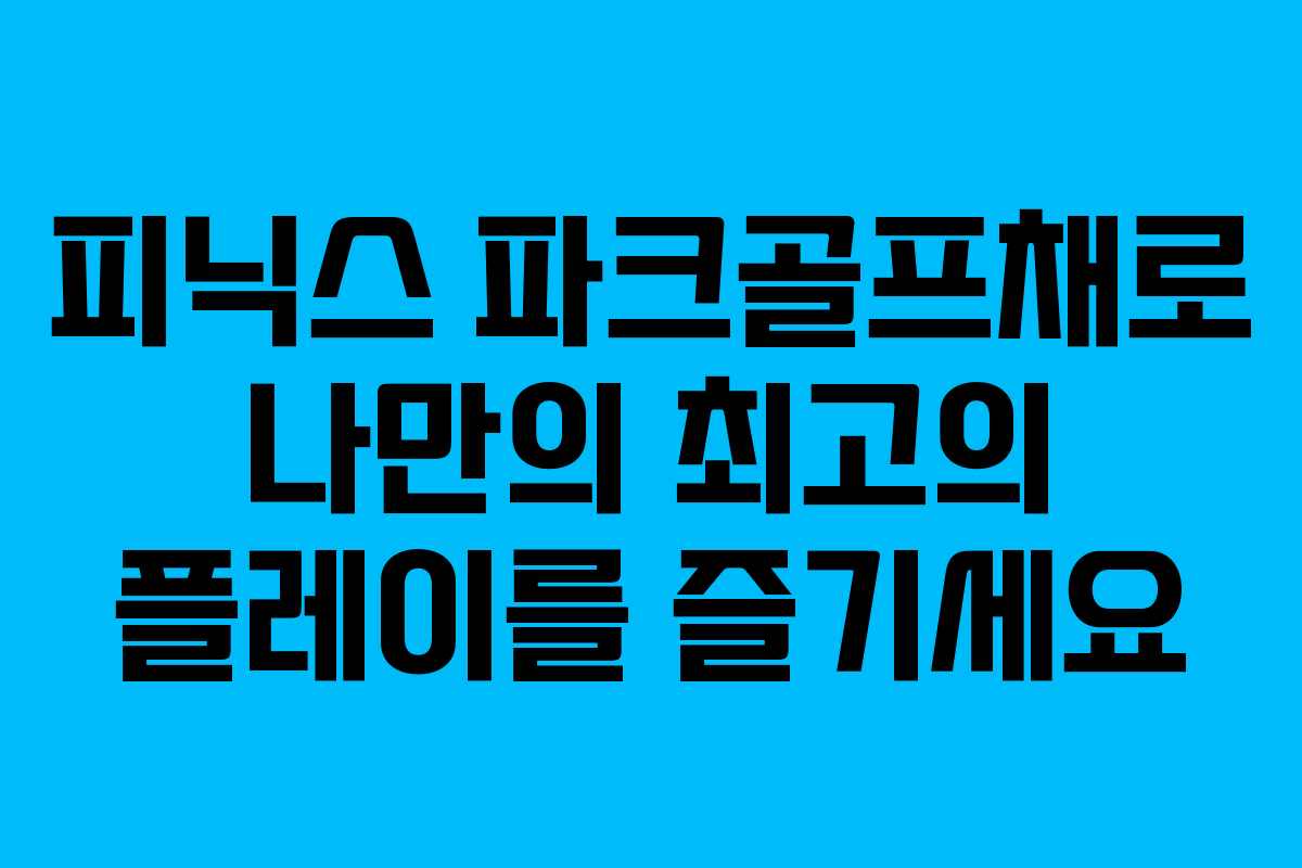 피닉스 파크골프채로 나만의 최고의 플레이를 즐기세요