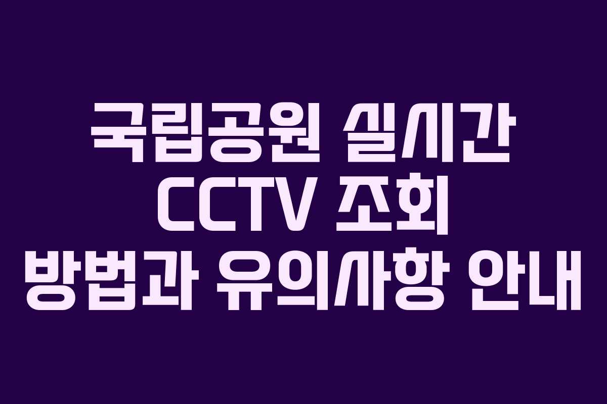 국립공원 실시간 CCTV 조회 방법과 유의사항 안내