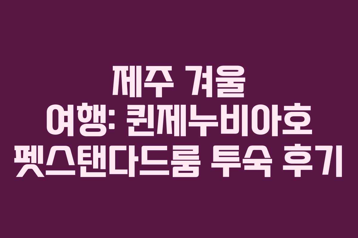 제주 겨울 여행: 퀸제누비아호 펫스탠다드룸 투숙 후기