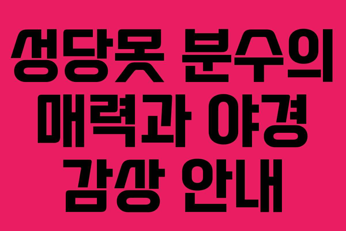 성당못 분수의 매력과 야경 감상 안내