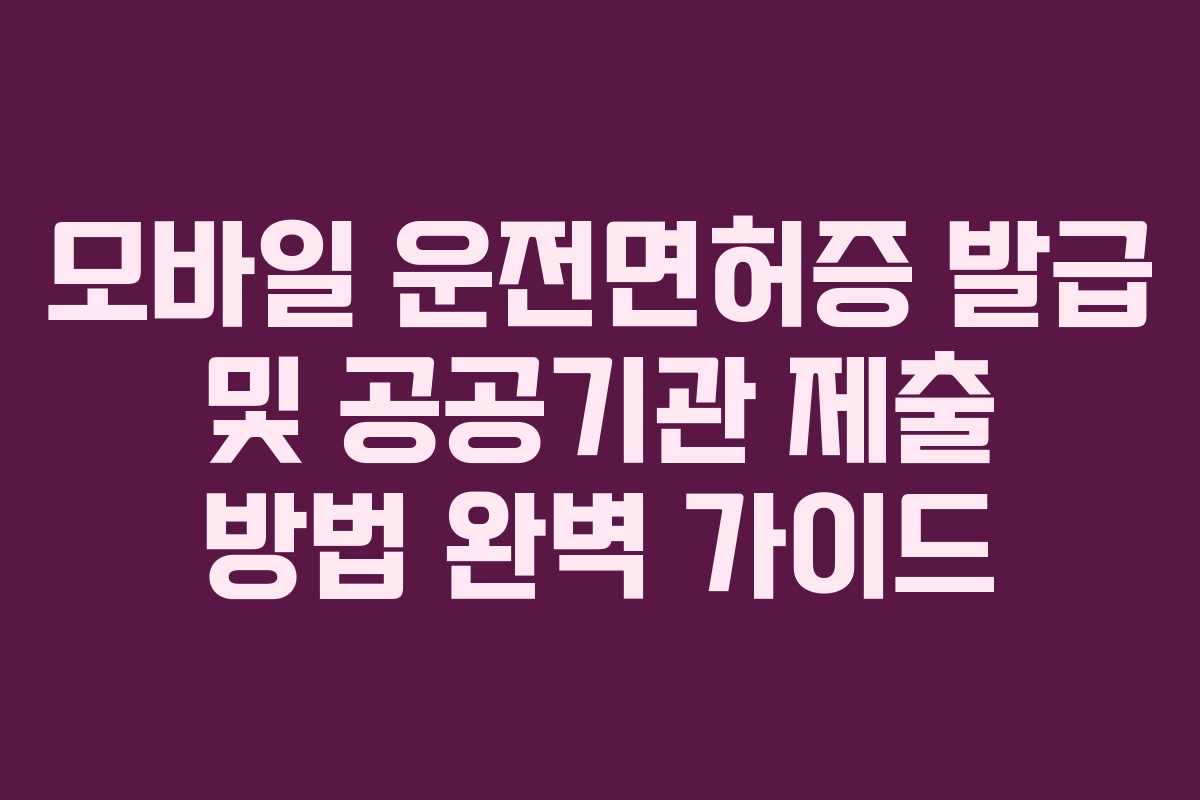 모바일 운전면허증 발급 및 공공기관 제출 방법 완벽 가이드