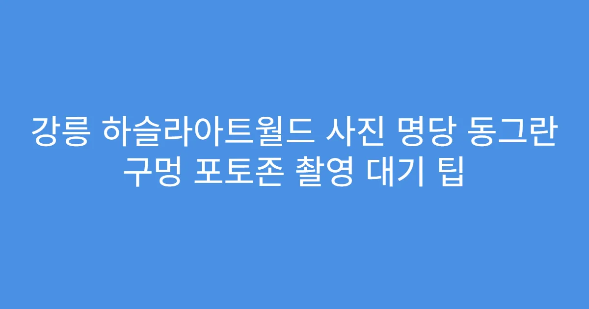 강릉 하슬라아트월드 사진 명당 동그란 구멍 포토존 촬영 대기 팁