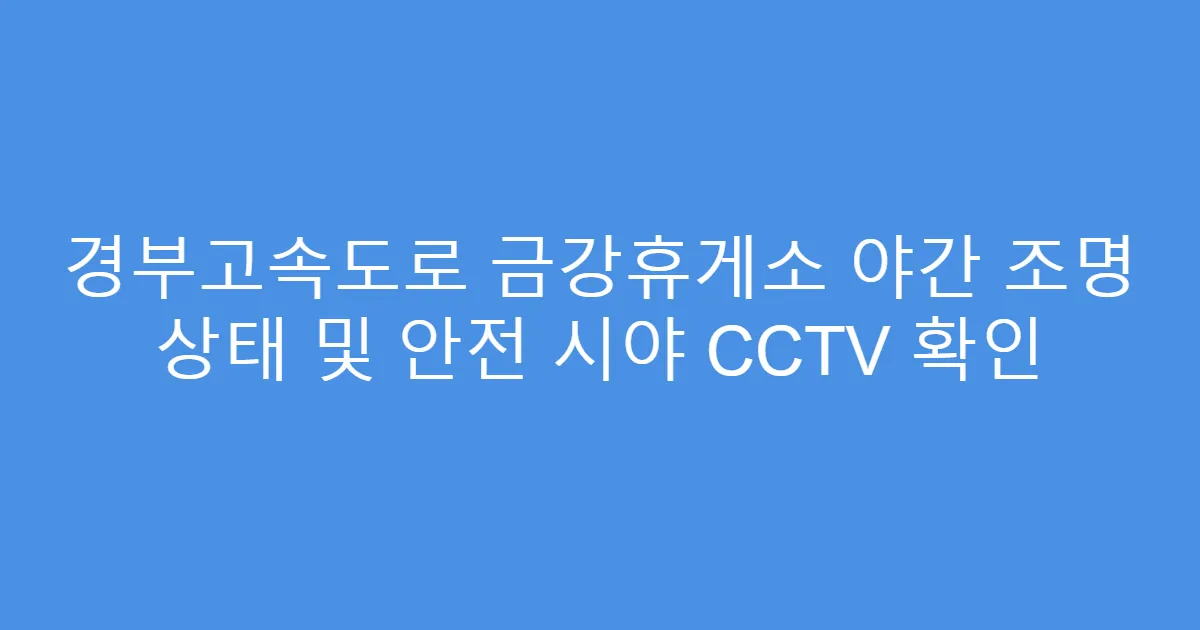 경부고속도로 금강휴게소 야간 조명 상태 및 안전 시야 CCTV 확인