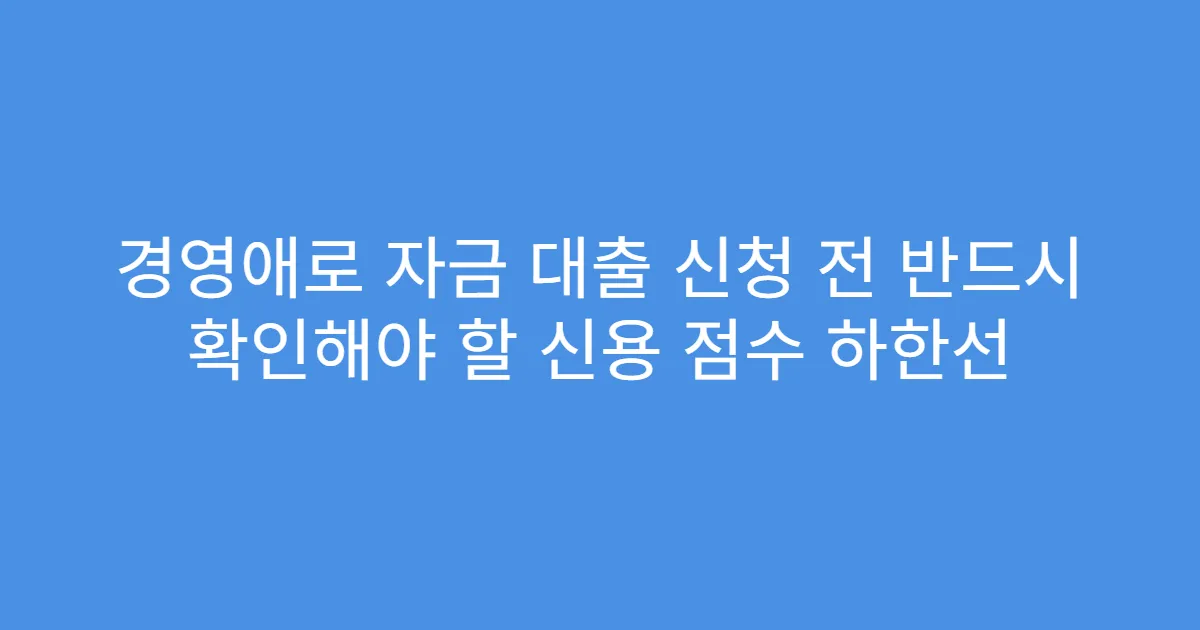경영애로 자금 대출 신청 전 반드시 확인해야 할 신용 점수 하한선
