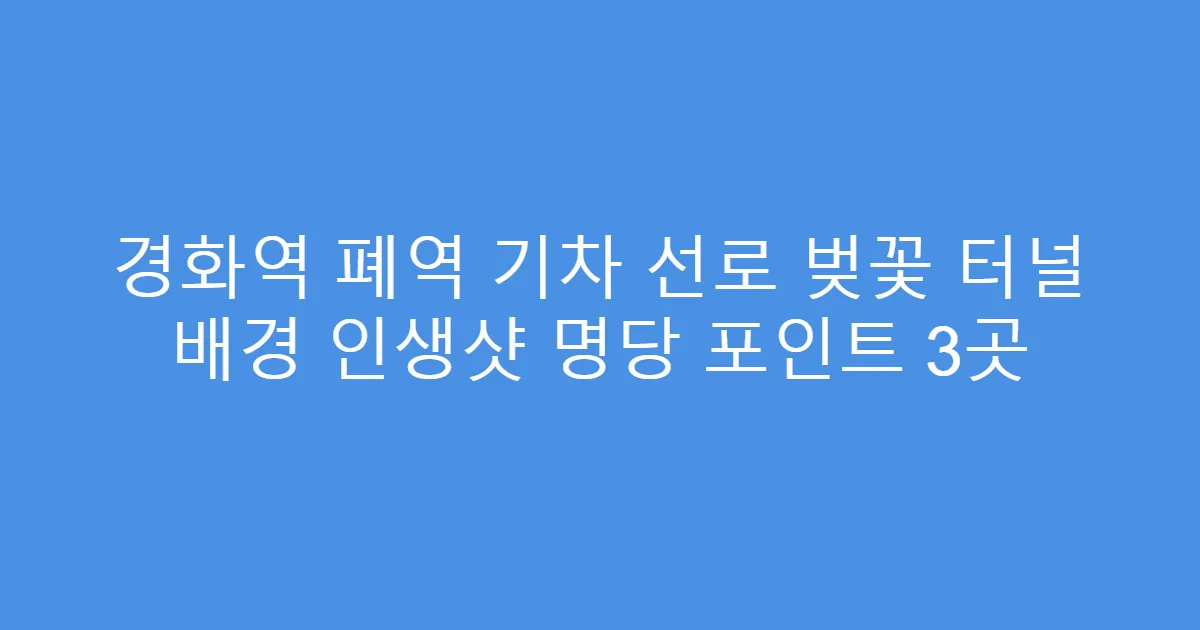 경화역 폐역 기차 선로 벚꽃 터널 배경 인생샷 명당 포인트 3곳