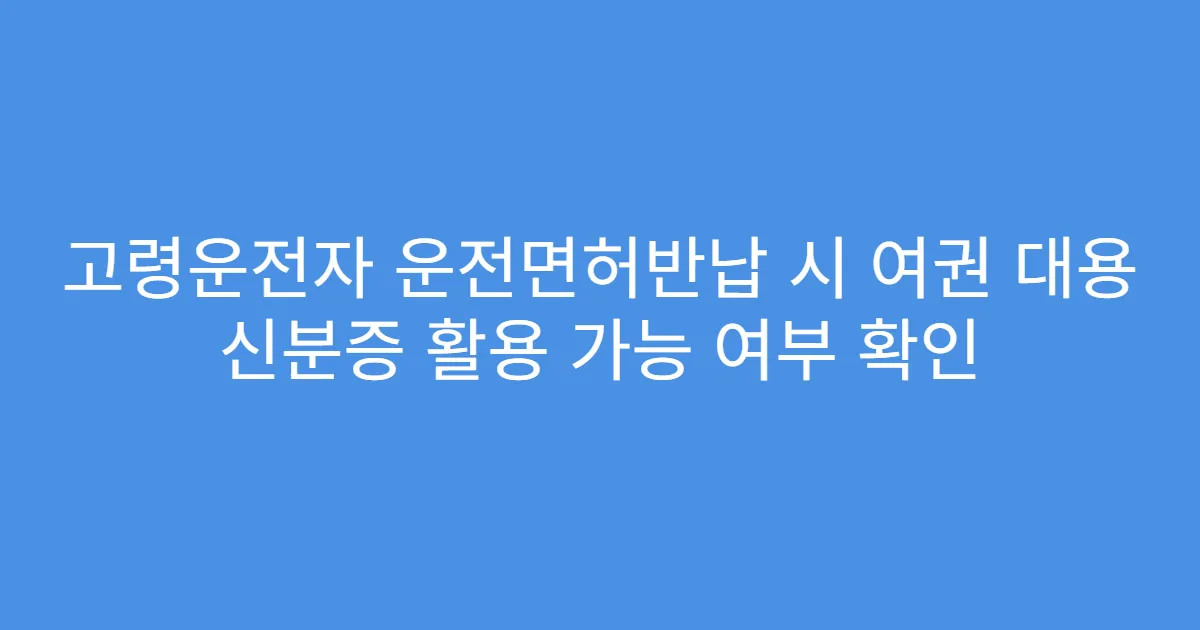 고령운전자 운전면허반납 시 여권 대용 신분증 활용 가능 여부 확인