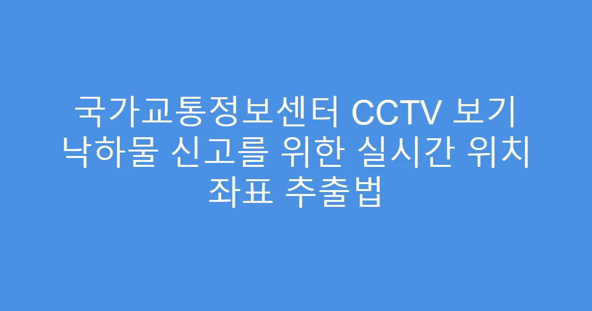 국가교통정보센터 CCTV 보기 낙하물 신고를 위한 실시간 위치 좌표 추출법