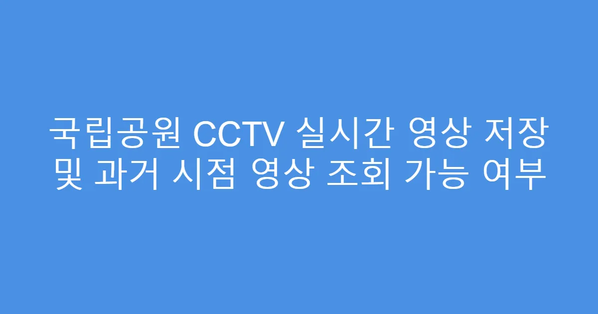 국립공원 CCTV 실시간 영상 저장 및 과거 시점 영상 조회 가능 여부