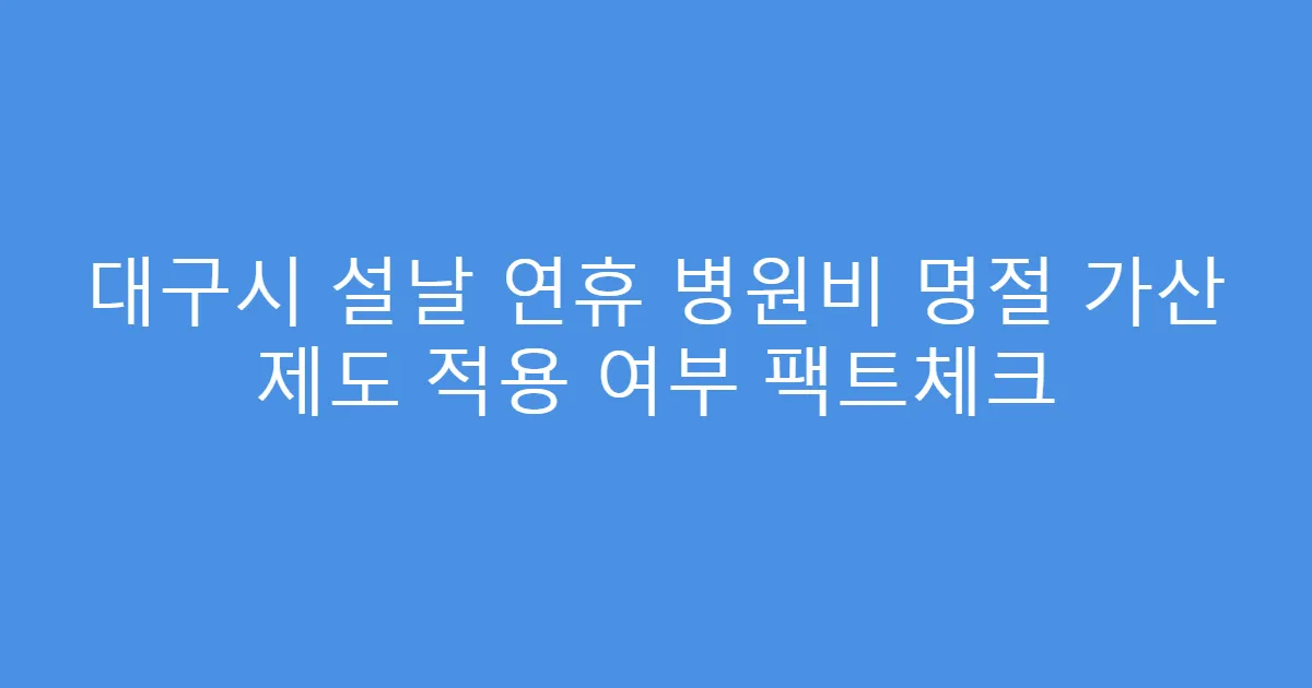 대구시 설날 연휴 병원비 명절 가산 제도 적용 여부 팩트체크