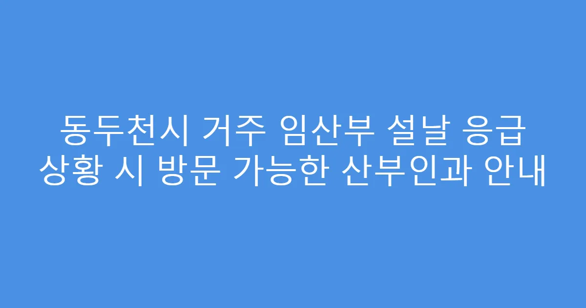 동두천시 거주 임산부 설날 응급 상황 시 방문 가능한 산부인과 안내