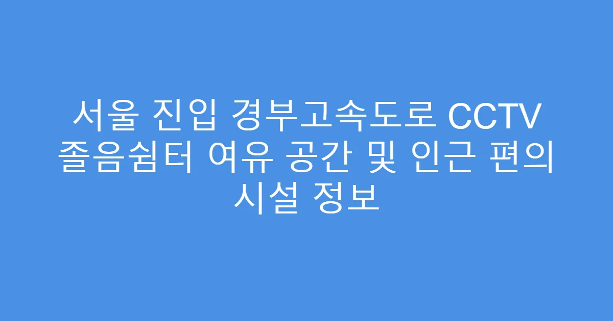 서울 진입 경부고속도로 CCTV 졸음쉼터 여유 공간 및 인근 편의 시설 정보