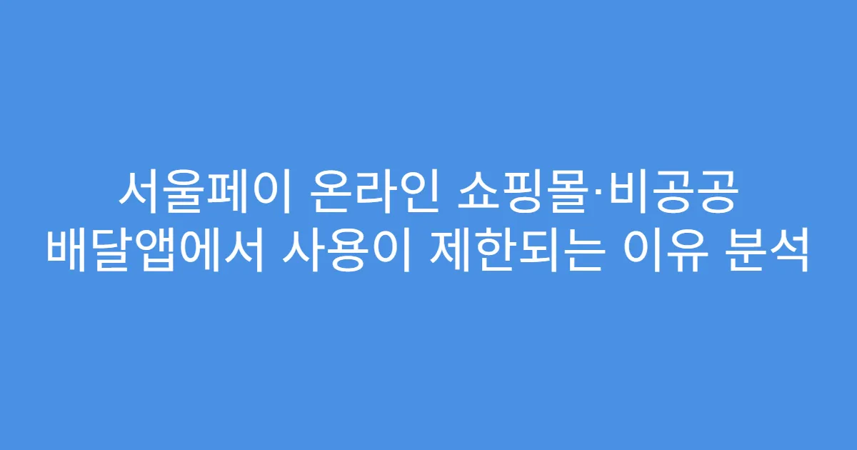 서울페이 온라인 쇼핑몰·비공공 배달앱에서 사용이 제한되는 이유 분석
