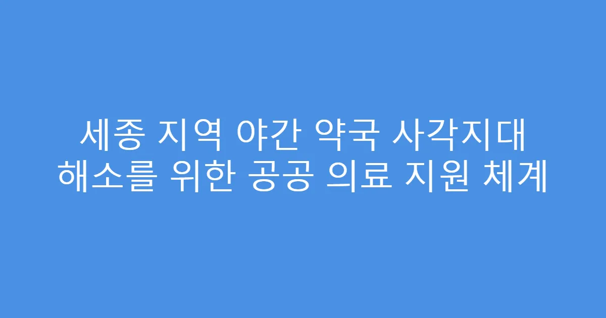 세종 지역 야간 약국 사각지대 해소를 위한 공공 의료 지원 체계