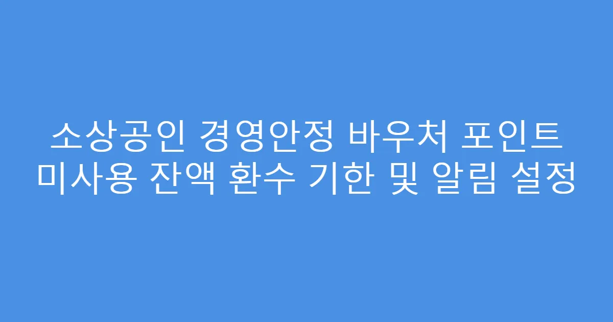 소상공인 경영안정 바우처 포인트 미사용 잔액 환수 기한 및 알림 설정