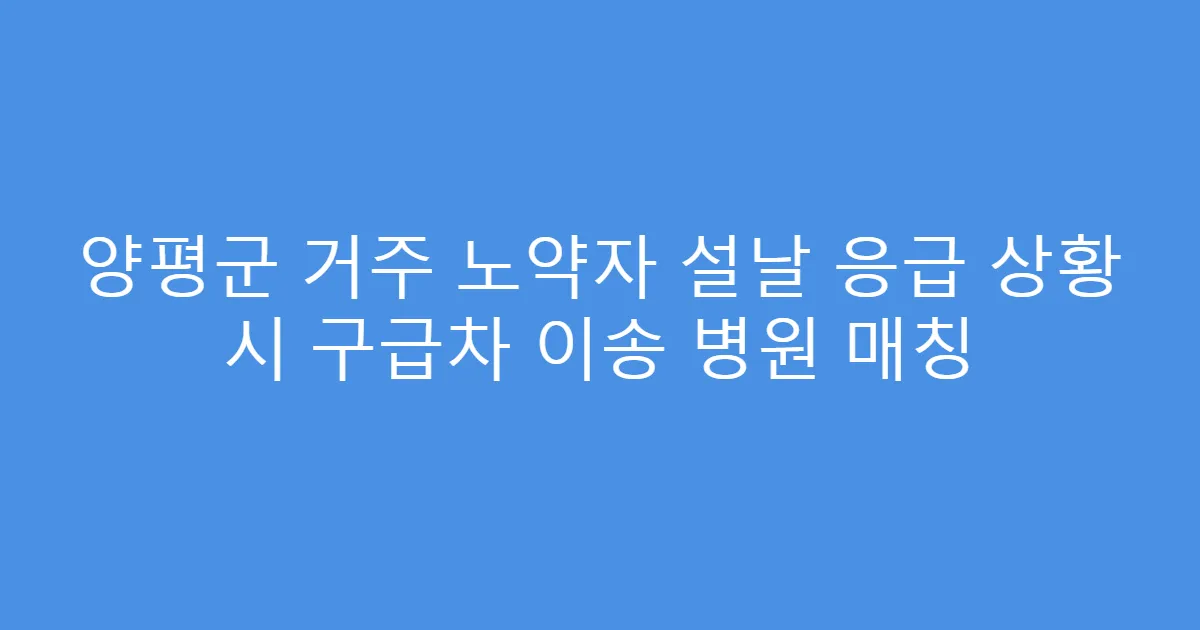 양평군 거주 노약자 설날 응급 상황 시 구급차 이송 병원 매칭