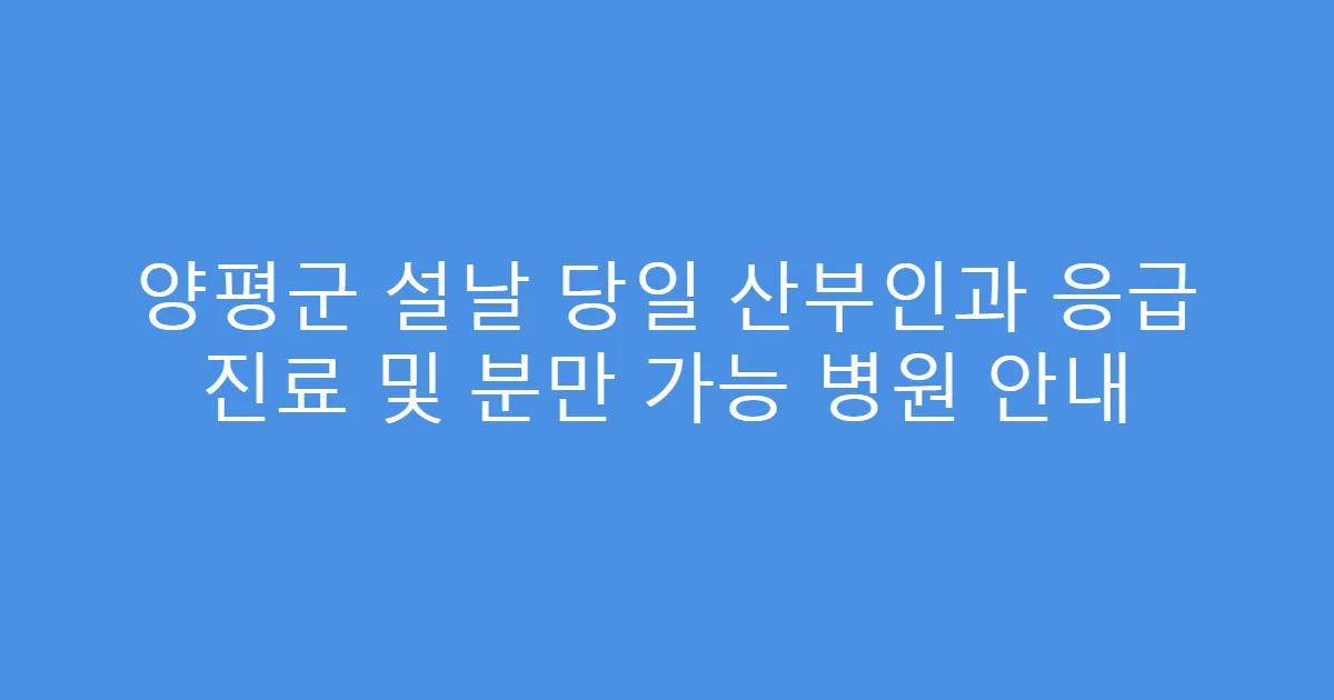 양평군 설날 당일 산부인과 응급 진료 및 분만 가능 병원 안내