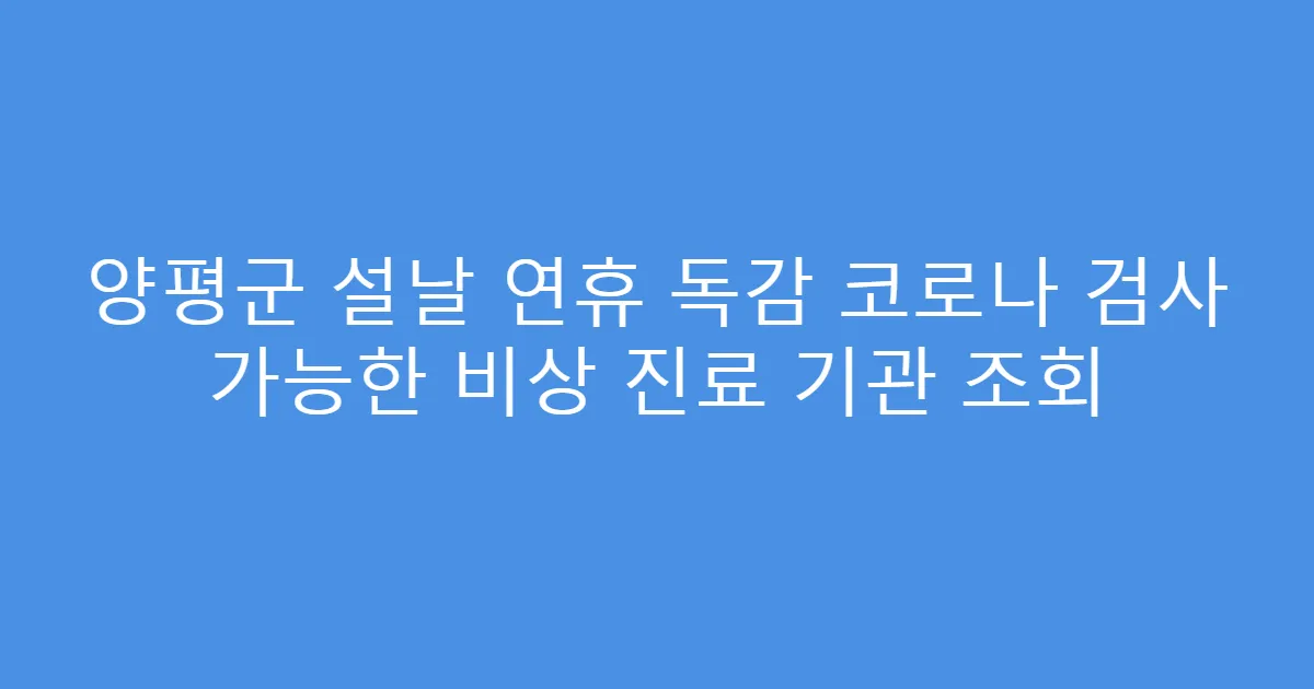 양평군 설날 연휴 독감 코로나 검사 가능한 비상 진료 기관 조회