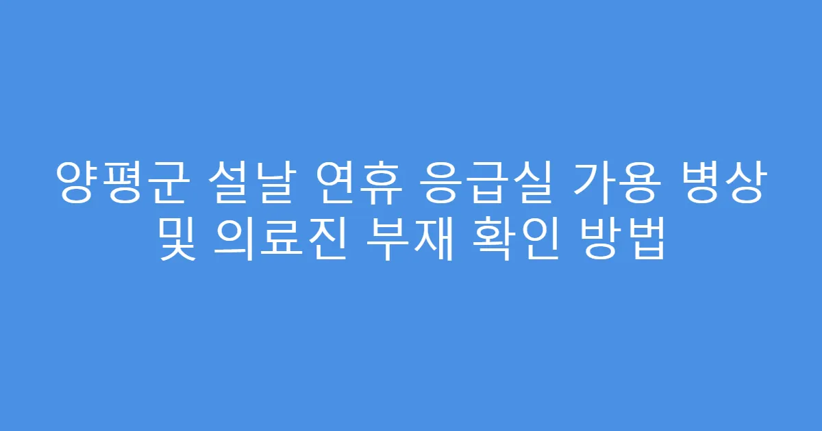 양평군 설날 연휴 응급실 가용 병상 및 의료진 부재 확인 방법