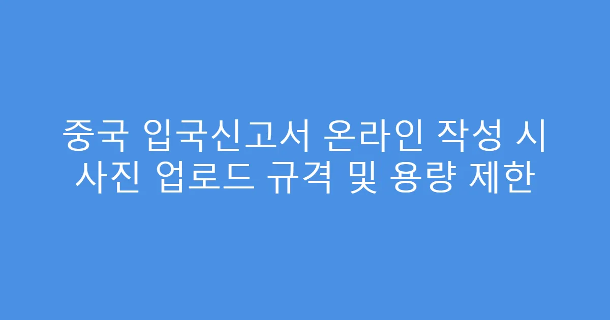 중국 입국신고서 온라인 작성 시 사진 업로드 규격 및 용량 제한