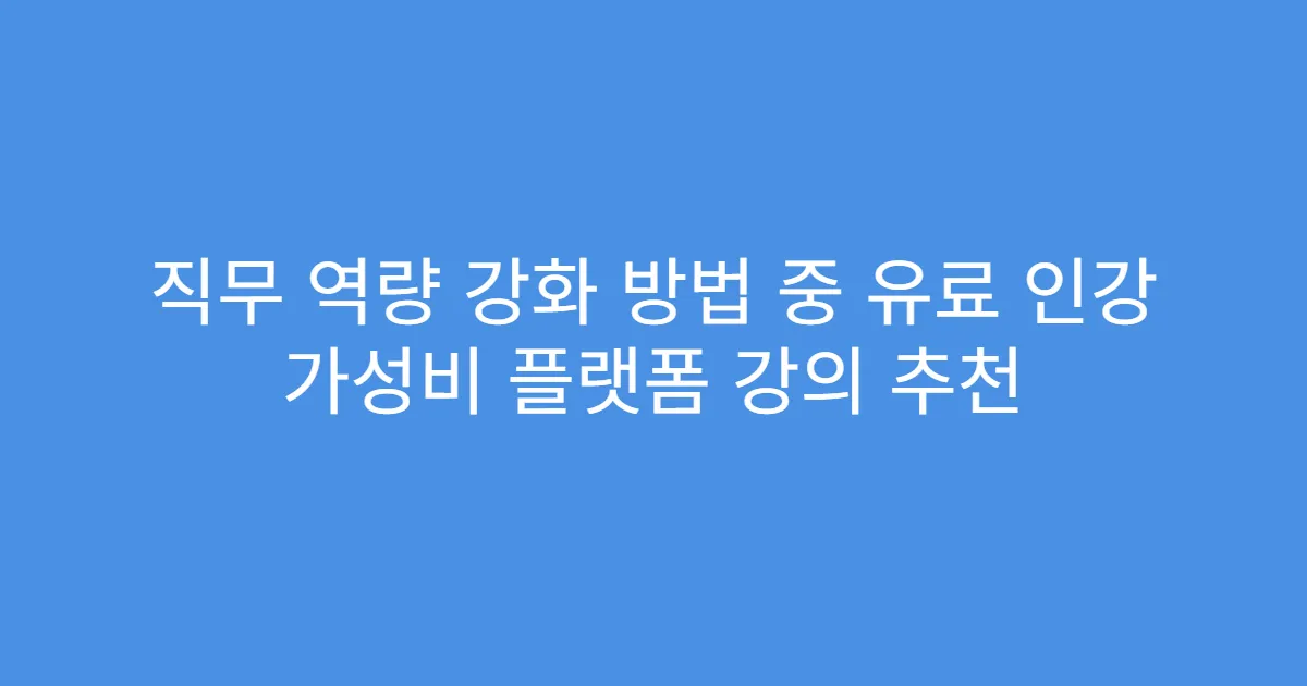 직무 역량 강화 방법 중 유료 인강 가성비 플랫폼 강의 추천