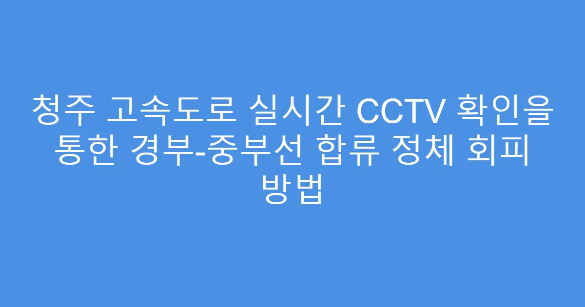 청주 고속도로 실시간 CCTV 확인을 통한 경부-중부선 합류 정체 회피 방법