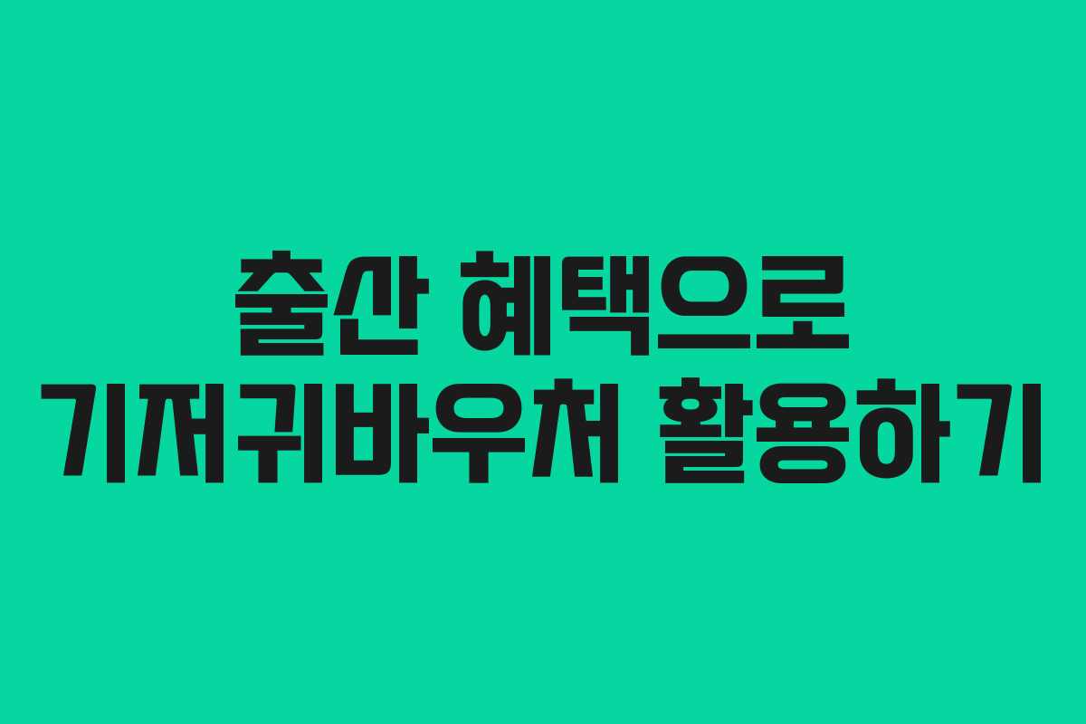 출산 혜택으로 기저귀바우처 활용하기