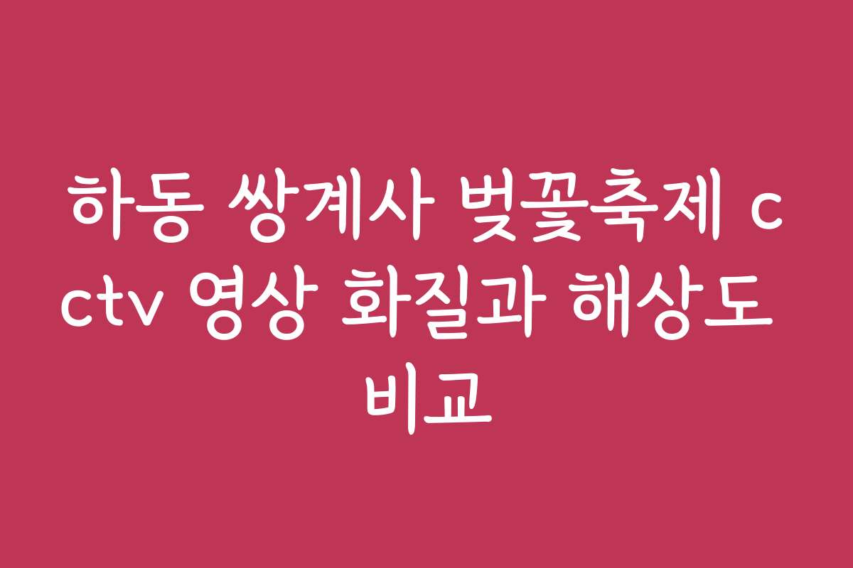 하동 쌍계사 벚꽃축제 cctv 영상 화질과 해상도 비교
